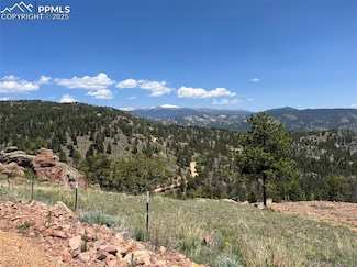 160 Chateau Dr W, Florissant, CO 80816