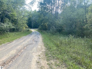 0 Cowlitz Cove Unit Multip 1904512, Evart Township, MI 49631