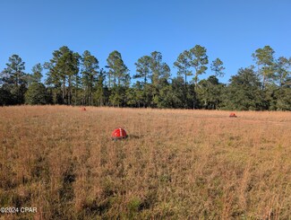 0 Robert Murphy Rd, Esto, FL 32425