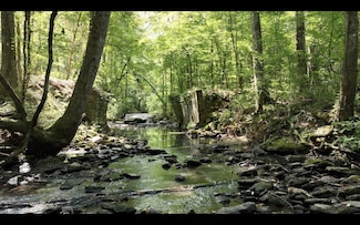 0 Bud Black Rd Unit 21222578, Auburn, AL 36879