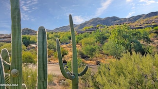 1906 W Mountain Mirage Place Unit 161, Oro Valley, AZ 85755