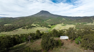 Parcel 5 & 6 Elk Height Ln, Guffey, CO 80820