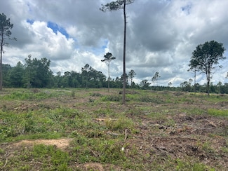 0 Tbd Cr 3665, Queen City, TX 75572