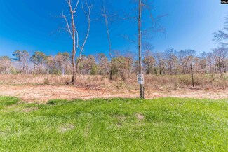 0 Lands End Ln Unit 578199, Prosperity, SC 29127