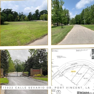 13822 Calle Sevario Dr, Port Vincent, LA 70726