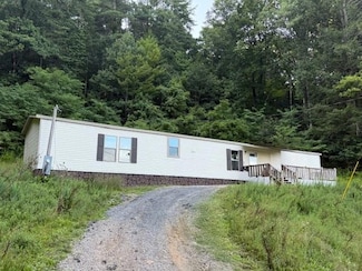 126 Cook St, Lester, WV 25865
