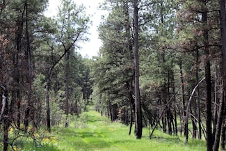 NHN Deer Ln Unit EH-13, Roundup, MT 59072