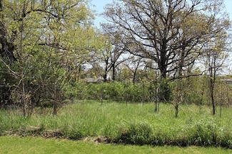 Lot 19 Masters Dr, Union Grove Township, IL 61270
