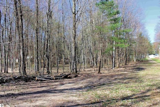 00 Chwastek Rd NW, Manistee Lake, MI 49646