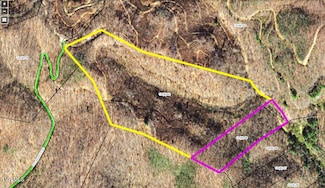 00 Big Branch Rd, Saint Charles, VA 24282