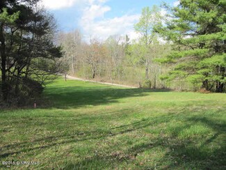 TBD Level Bottom Rd, Check, VA 24072