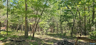 21+/- Acres County Road 361, Pisgah, AL 35765