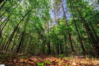00 Watt Rogers Rd Unit Tract 2, Pelzer, SC 29669