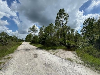 29460 Clara Dr, Punta Gorda, FL 33982