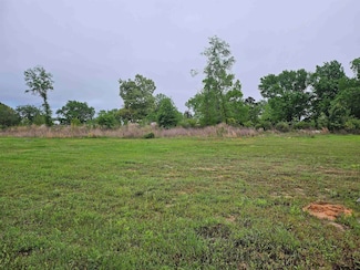 422 Deer Point Cove, Chandler, TX 75758