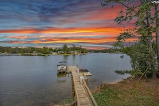 520 Walt Rauch Rd, Chapin, SC 29036