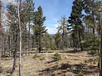 242 Apache Creek Dr, Florissant, CO 80816