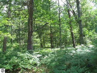 00 Shoreward Trail Unit 25-26, South Branch, MI 48761