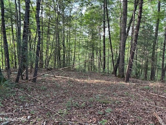 0 Eagle Ridge Pvt Rd Unit 1311638, Huntsville, TN 37756