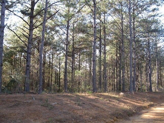 Lot 3 Park View Dr, Ellisville, MS 39437