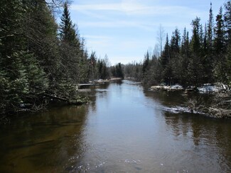 5807 N Choctow Trail, Frederic, MI 49733