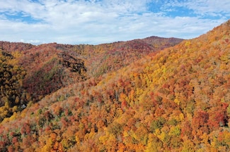 0 Osceola Trail Unit 26036425, Whittier, NC 28789