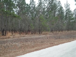 306 Brians Woods Rd, Maple Hill, NC 28454