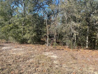 0 NE 152 Terrace Unit MFROM692350, Williston Highlands, FL 32696