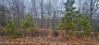 TT Lot 497 White Oak Ln, Hazle Township, PA 18202