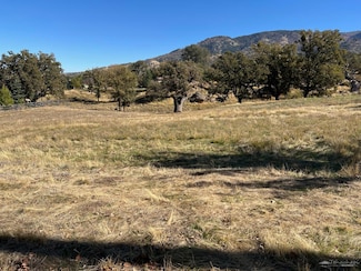 0 Cedar Canyon Dr Unit 9993401, Tehachapi, CA 93561