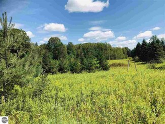 V/L 190th Ave, Reed City, MI 49677