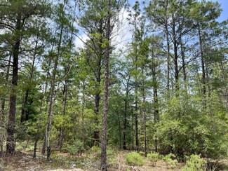 0 Red Mulberry Ln Unit 928101, Defuniak Springs, FL 32433