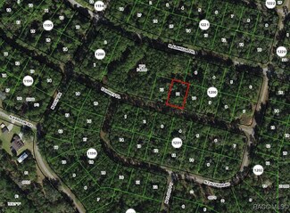 1327 E Urmey Place, Dunnellon, FL 34434