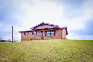 3658 Ripley Island Rd, Afton, TN 37616