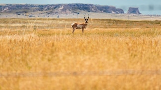 64850 County Road 99, Grover, CO 80729