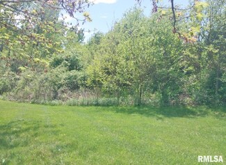 53 Hidden Ct, Oak Run, IL 61428