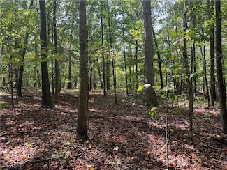 348 Pat Rich Dr, Canton, GA 30115