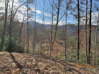 Lot 25 Cliff Dalrymple Rd, Franklin, NC 28734
