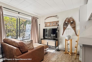 725 E Main St Unit 103, Aspen, CO 81611