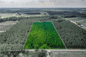 00 County Farm Rd, Blackshear, GA 31516