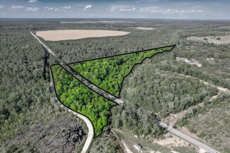 000 Davis Bridge Rd, Williston, SC 29853