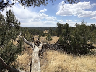 Lot 7 Candy Kitchen Rd, Ramah, NM 87321