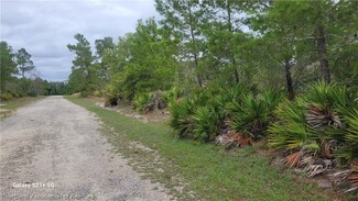 1201 Ailanthus St, Lake Placid, FL 33852