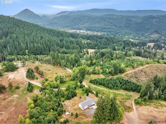 28024 NE 433rd St, Amboy, WA 98601