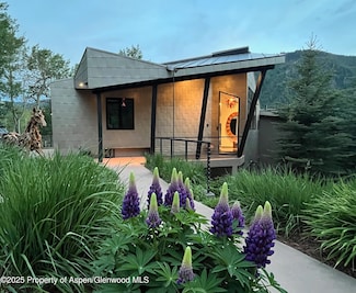 257 Mountain Laurel Dr, Aspen, CO 81611