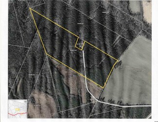 37.5 ac Grier Crossing Rd, Hemingway, SC 29554