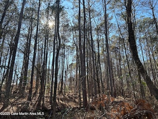 Lot 2 N Forty, Alexander City, AL 35010
