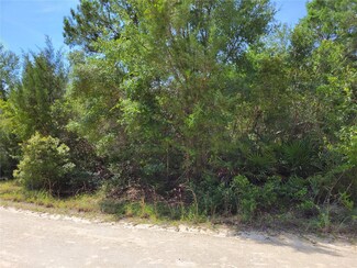 0 NE 242 Ave Unit MFROM664918, Salt Springs, FL 32134