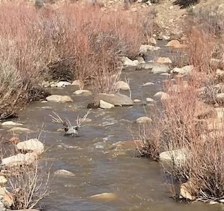 Financing Miningclaim Ownership, Minden, NV 89423