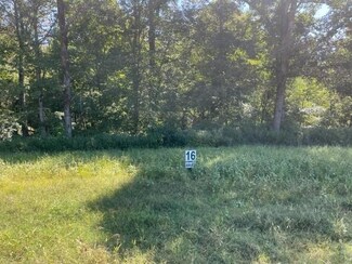 LOT 16 Clear Creek Preserve Way, Ellijay, GA 30536